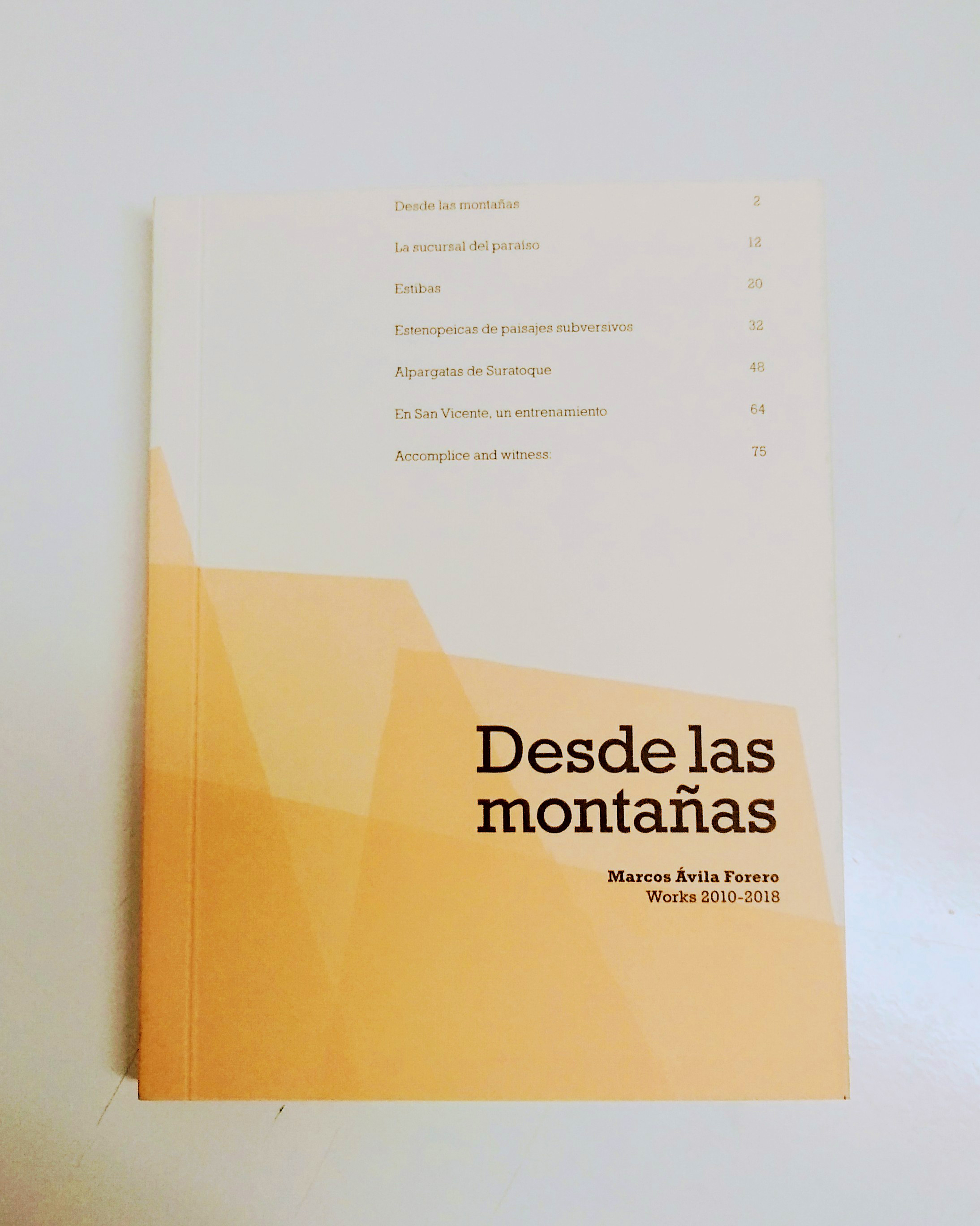 Marcos Ávila Forero Artist Catalogue 'Desde las montañas' cover
