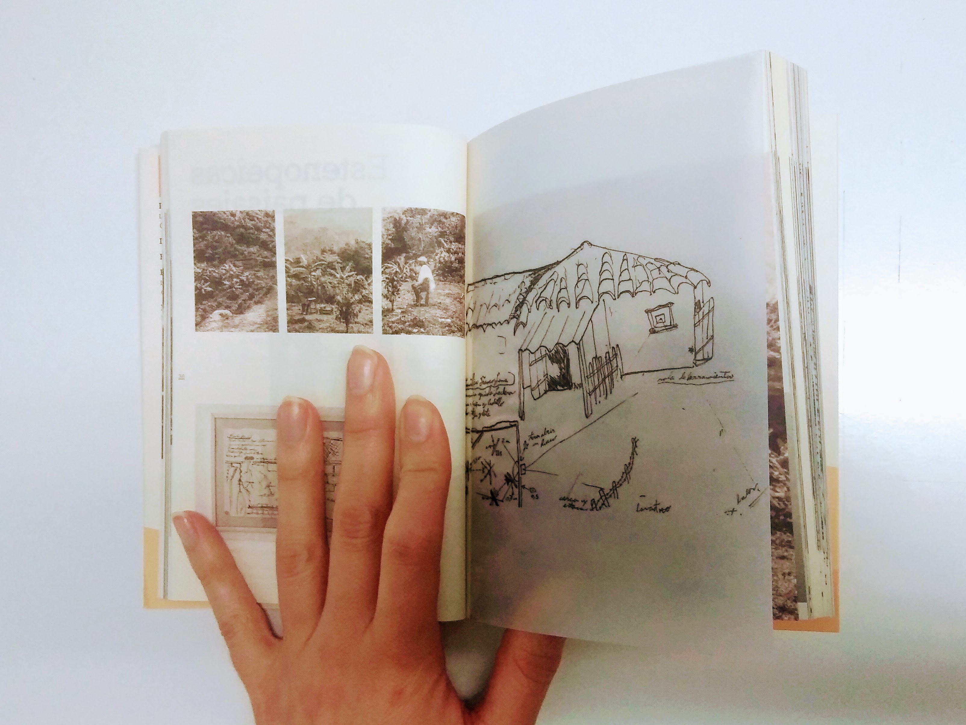 Marcos Ávila Forero Artist Catalogue internal pages